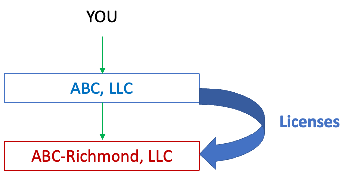 Corp Subsidiary with Licenses